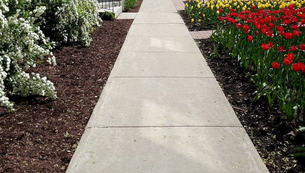 Cement Sidewalk Installation in Elk Grove