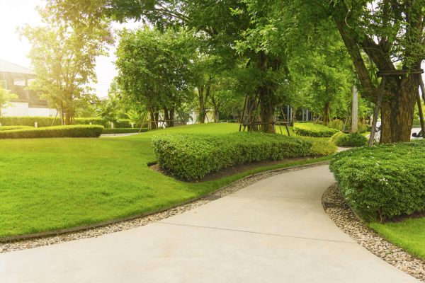 Walkway Concrete Installation in Elk Grove