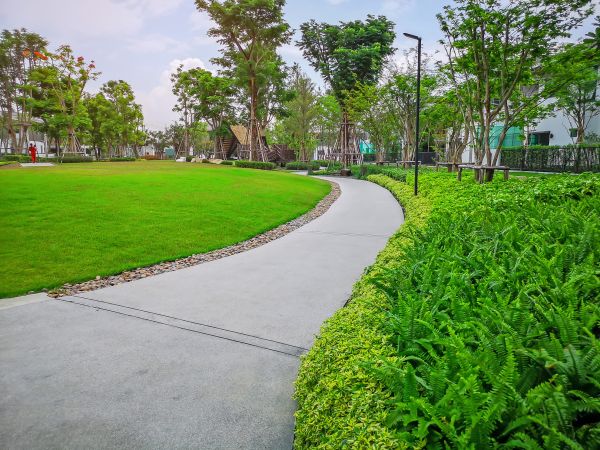 Cement Walkway Service in Elk Grove