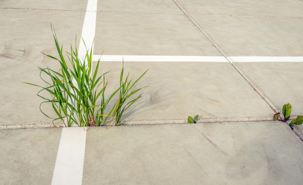 Concrete Parking Installation in Elk Grove