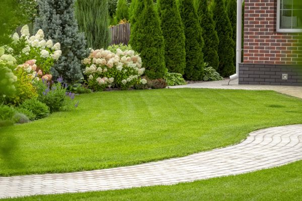 Landscape Walkway Installation in Elk Grove