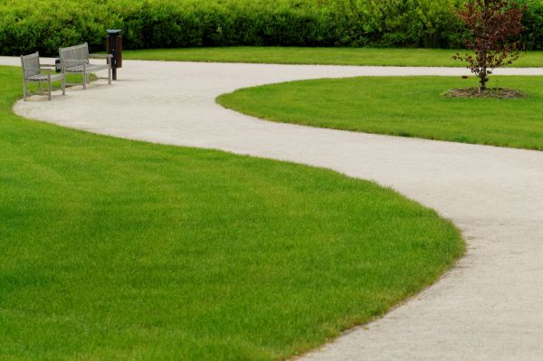 Cost of Sidewalk Installation in Elk Grove